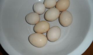 钢化蛋家常做法 钢化蛋是什么蛋